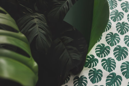 Monstera leaf patterned paper on a green background