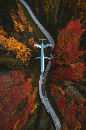 Road among an autumnal forest drone shot