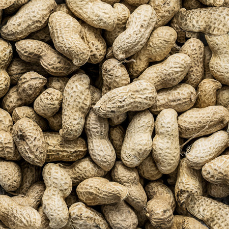 Peanuts flat lay close up