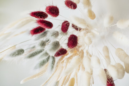 Aerial view of Bunny Tail grass in a vase