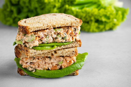 Tuna or salmon salad sandwiches with celery and yogurt dressingの写真素材