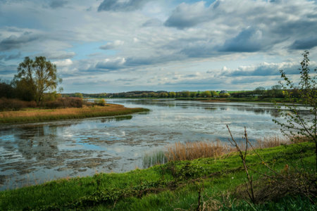 Muddy waterside landscape photo. Beautiful nature scenery photography with cloudy sky on background