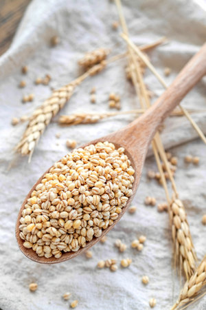 barley on a wooden spoonの写真素材