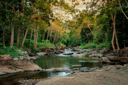 Small river flowing in the forests thailandの写真素材