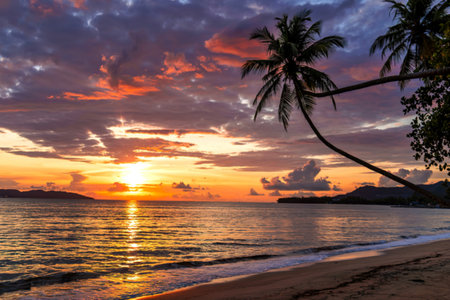 Beautiful sunset over the sea on tropical beach with palm tree and colorful sky