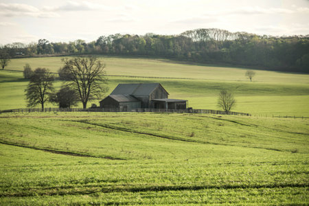 View Farm