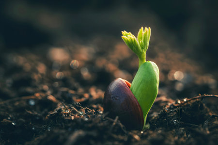 A close-up shot reveals a young seedling pushing through dark soil, its vibrant green leaves...