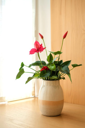 Decorative home plant vase arrangementの写真素材