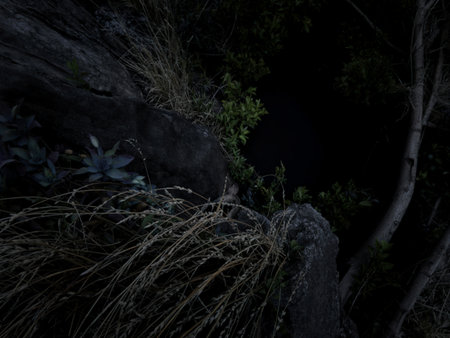 A high-angle, dark shot reveals a small, still body of water nestled amongst dark rocks and overgrown vegetation. The scene is moody and atmospheric.の写真素材