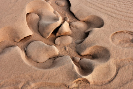 A close-up image reveals intricate patterns in sand dunes, sculpted by wind into unique shapes and textures. The light beige sand shows a variety of formations.の写真素材