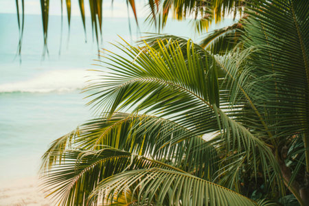 Lush green palm fronds create a natural frame for a tranquil ocean scene. Gentle waves are visible in the background, suggesting a peaceful beach setting.の写真素材