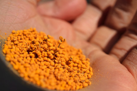 A close-up shot reveals a hand gently cupping a pile of vibrant golden pollen grains, with a small...