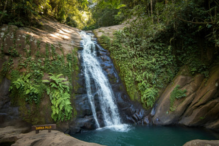 A picturesque waterfall cascades down moss-covered rocks into a tranquil pool, surrounded by vibrant green tropical foliage.の写真素材