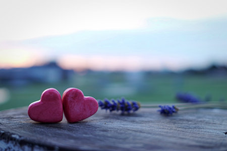 Two vibrant pink heart-shaped candies rest on a textured wooden surface, accompanied by delicate sprigs of lavender, set against a soft, blurred natural background.の写真素材