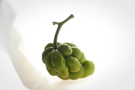 A single, oddly shaped green fruit with a stem is shown against a bright white background. The fruit...