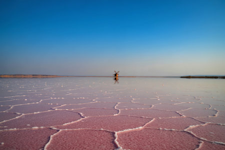 A serene landscape featuring a pink salt lake with a distinct pattern of salt formations and a small...