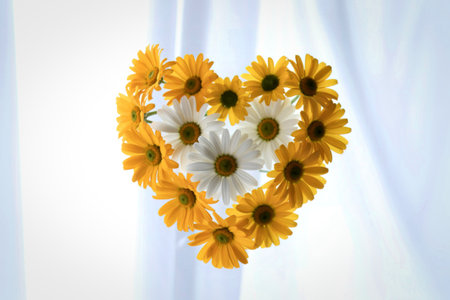 A romantic heart shape formed by bright yellow and white daisies, symbolizing love and beauty against a soft, airy white backdrop.の写真素材
