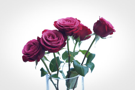 A bouquet of five deep red roses with green stems and leaves, presented in a clear glass vase against a bright white backdrop.の写真素材