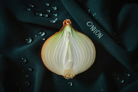 A close-up overhead view of a freshly cut onion revealing its layered interior, surrounded by dark green leaves and water droplets.の写真素材