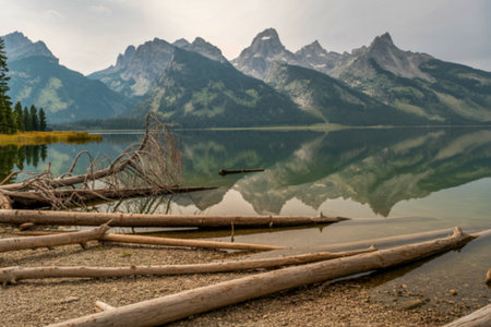 A calm lake perfectly mirrors jagged mountain peaks under a cloudy sky, with weathered driftwood scattered on the shore.の写真素材