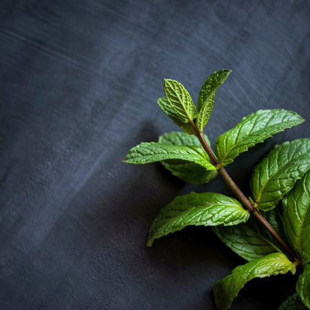 A close-up image of fresh mint leaves resting on a dark, textured surface. The vibrant green color...