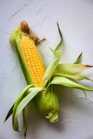A close-up image of a freshly picked ear of corn with its husk partially peeled back, revealing the...