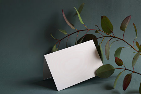 A plain white note card rests against a eucalyptus branch on a green background.の写真素材