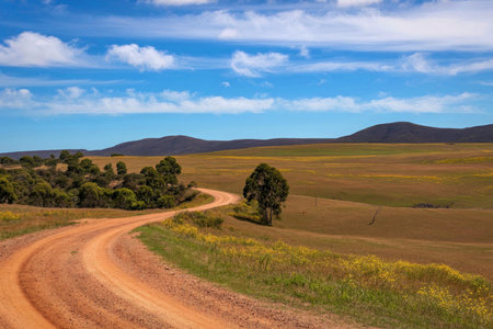 A winding dirt road cuts through vast open plains under a clear blue sky with scattered clouds. The...