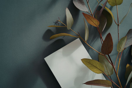 A white card placed on a dark green surface, surrounded by eucalyptus leaves and illuminated by soft natural light, creating a serene and sophisticated atmosphere.の写真素材