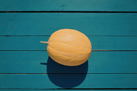 A vibrant yellow melon placed on a blue wooden surface, casting a shadow underneath, highlighting the contrast between the warm fruit and cool background.の写真素材