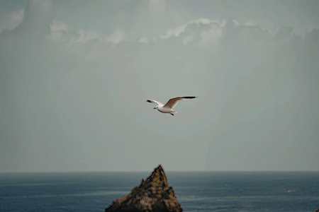 A seagull soars through the sky above a rugged rock formation jutting out of the ocean, set against a backdrop of vast blue waters and a cloudy sky.の写真素材