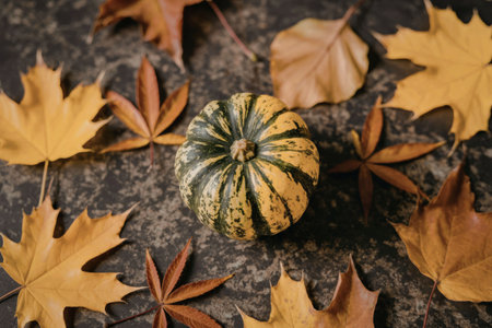A small, green and yellow pumpkin sits on the ground surrounded by various colorful fall leaves.の写真素材