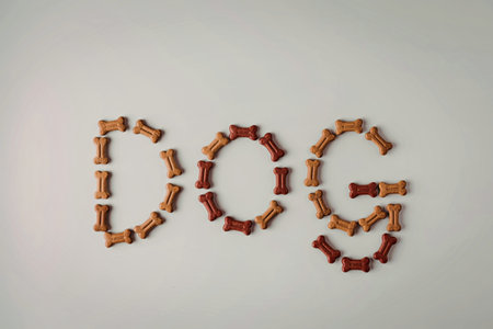 The word 'DOG' spelled out using dog food on a plain backgroundの写真素材