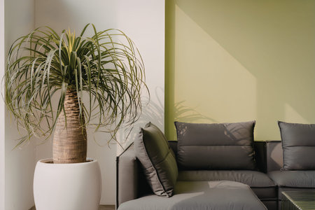 A modern living room with a green accent wall, gray couch, and a potted plant.の写真素材
