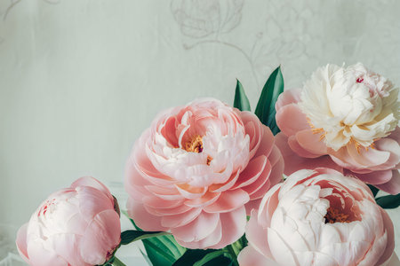 A close-up image of pink and white peonies with green leaves against a light gray background.