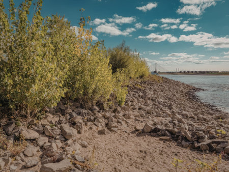 A scenic view of rocks, green bushes, and water with a blue sky and clouds.