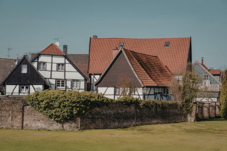 Scenic view of charming black and white cottages with red roofs in a peaceful village setting
