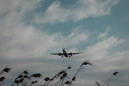 A plane flying low over tall grass with clouds in the sky, outdoors scene.