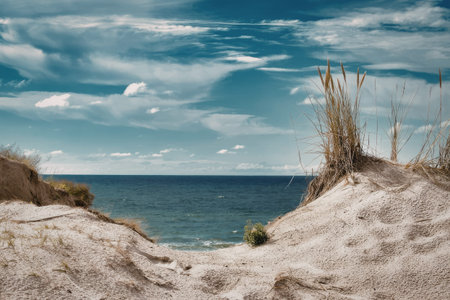 A serene beach landscape featuring sandy dunes and a calm sea under a blue sky with white clouds.