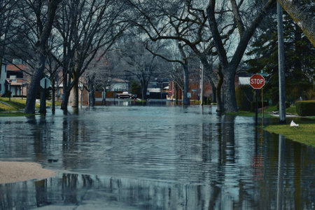 a flooded street with a stop sign and trees on a gloomy day with houses and cars in the background