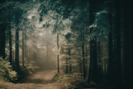 a dirt road in a forest with trees on both sides. the road is surrounded by tall trees and greenery, and there is a misty atmosphere in the background. the sun is shining through the trees, casting dappled shadows on the road.