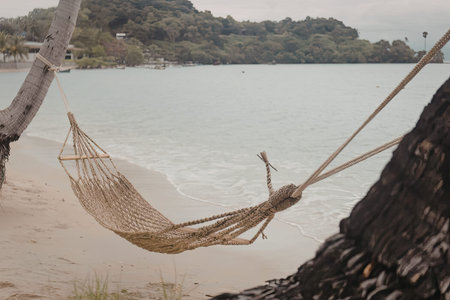 A hammock is suspended between two trees on a sandy beach, overlooking a body of water with a lush green hill in the background.