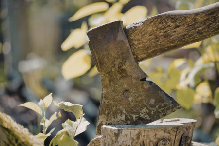 A close-up of a rusty axe stuck in a log with greenery in the background.