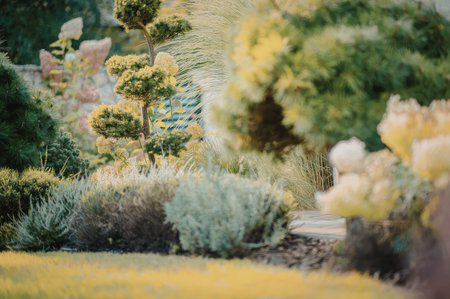 a garden with a variety of plants and trees, including a topiary tree, shrubs, and grasses, with a stone wall in the background