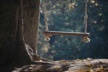 A close-up of an old, abandoned swing hanging from a tree branch in a forest or wooded area, with sunlight filtering through the leaves.