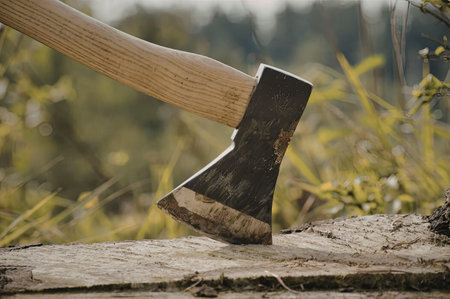 a close-up of an axe stuck in a log with a blurred background of greenery