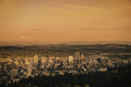 a city skyline with many buildings and trees in the foreground and a large mountain in the distance under a vibrant orange sky during sunset
