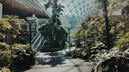 A serene pathway through a greenhouse with lush greenery and a glass roof.