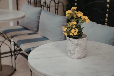 The image depicts a peaceful outdoor setting featuring a round marble table with a potted plant containing bright yellow flowers. The table is accompanied by a comfortable seating area with blue and white cushions.
