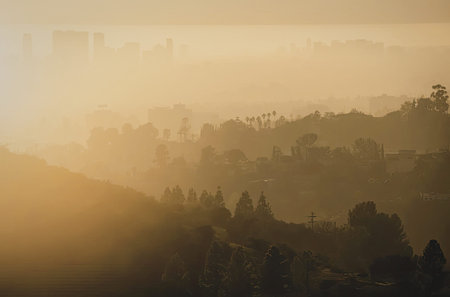 a landscape photograph of a city shrouded in haze, with trees and buildings silhouetted against a bright yellow sky, likely taken during sunrise or sunset